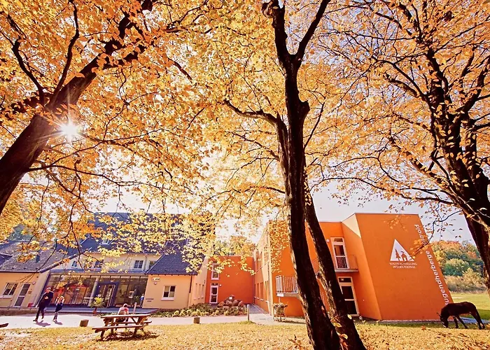 Jugendherberge Detmold Detmold